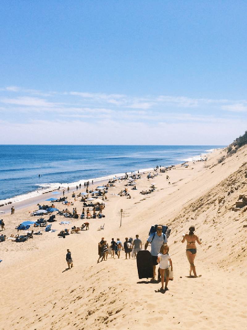 Wellfleet